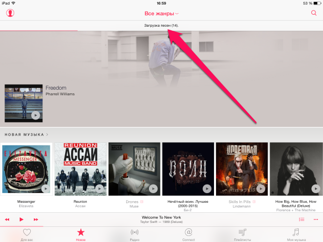 Как посмотреть прогресс загрузки музыки из Apple Music?