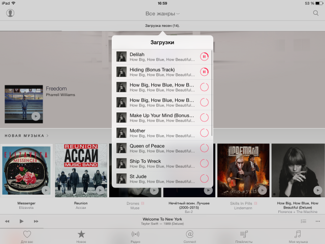 Как посмотреть прогресс загрузки музыки из Apple Music?