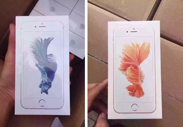Появились снимки коробок iPhone 6s всех расцветок