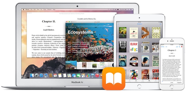 Какой формат книг на iPhone и iPad