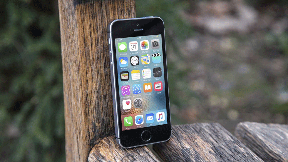 iPhone SE 2 станет хитом — фанаты Apple не могут дождаться выхода смартфона