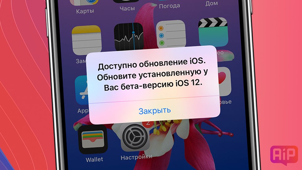 Apple выпустила десятую бета-версию iOS 12 для пользователей — что нового, как установить