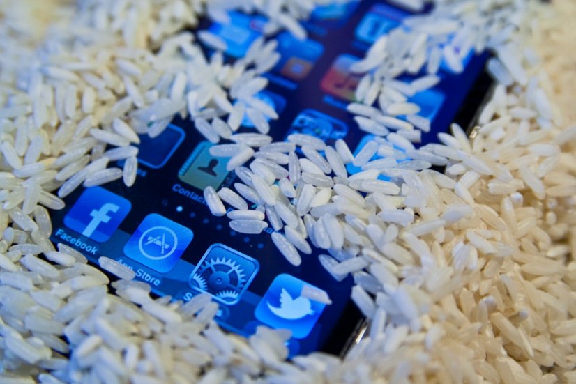 Утопил iPhone — поможет ли рис? Неожиданный ответ экспертов